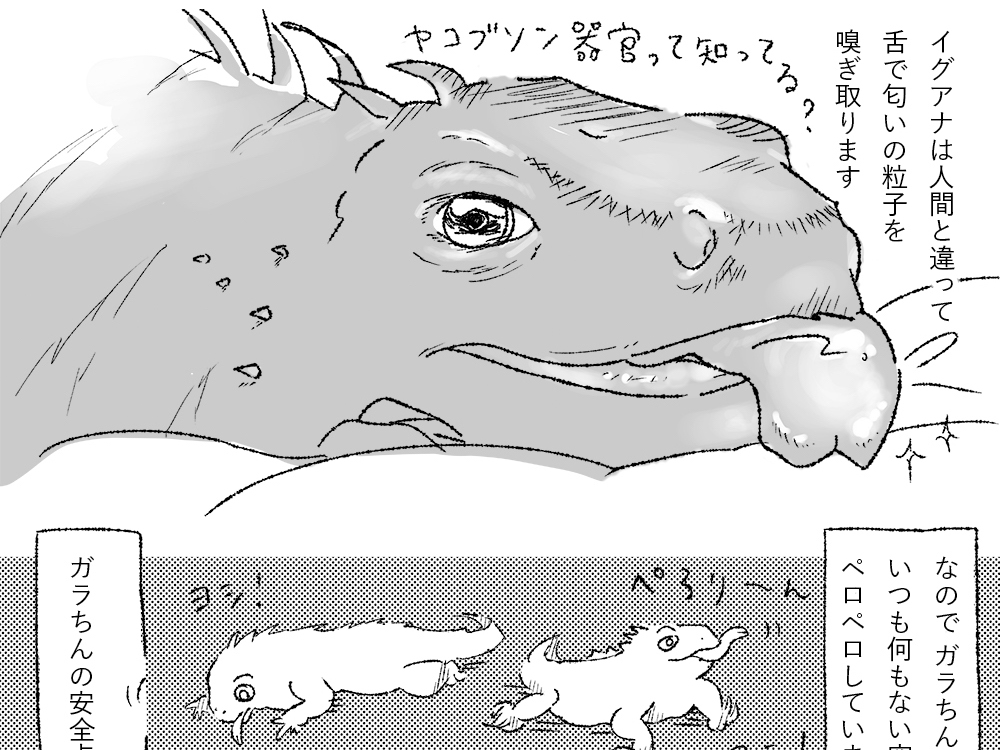 ガラちんのペロペロの種類