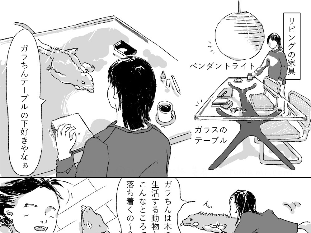 ガラちんの落ち着く場所