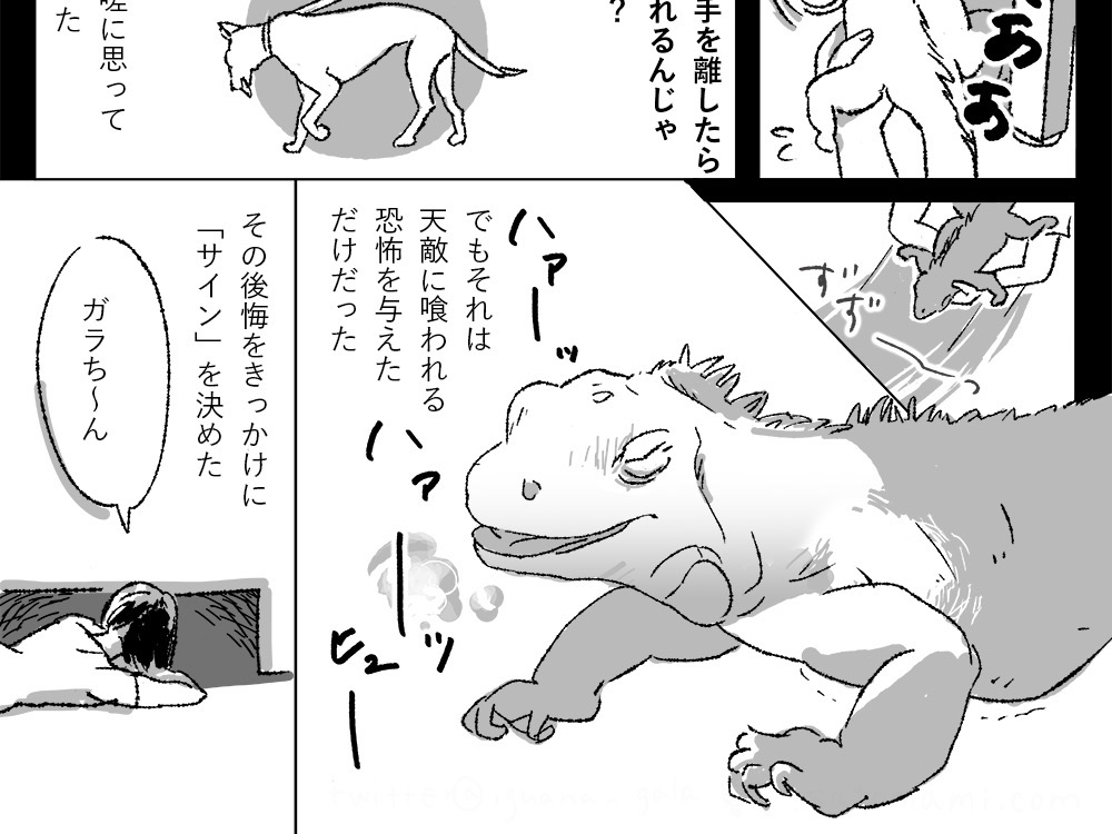 ガラちんを怖がらせないためのサイン