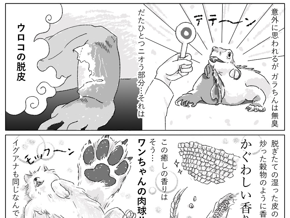 ガラちんの香り