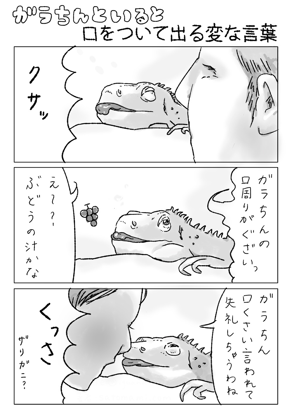 漫画「ガラちんといると口をついて出る変な言葉」。1ページ目。寝ているガラちんのニオイを嗅いだ人間「クサッ　ガラちんの口周りがくさいっ」。もう一人の人間「え〜？ぶどうの汁かな　ガラちん口くさい言われて失礼しちゃうわね」と、ガラちんに話しかけながらニオイを嗅いでみる。「くっさ　（ザリガニ？）」。