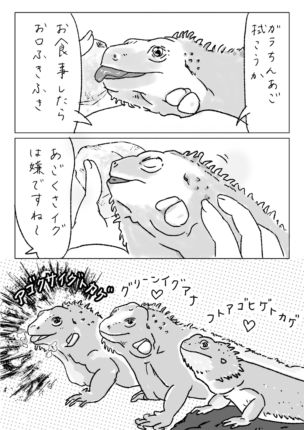 漫画「ガラちんといると口をついて出る変な言葉」。2ページ目。
「ガラちんあご拭こうか。お食事したらお口ふきふき。『あごくさイグ』は嫌ですね〜」と言われながら口を拭かれるガラちん。
凛々しく佇むグリーンイグアナとフトアゴヒゲトカゲの隣で、口を開けて笑っている新種の「アゴクサイグトカゲ」。漫画おわり。