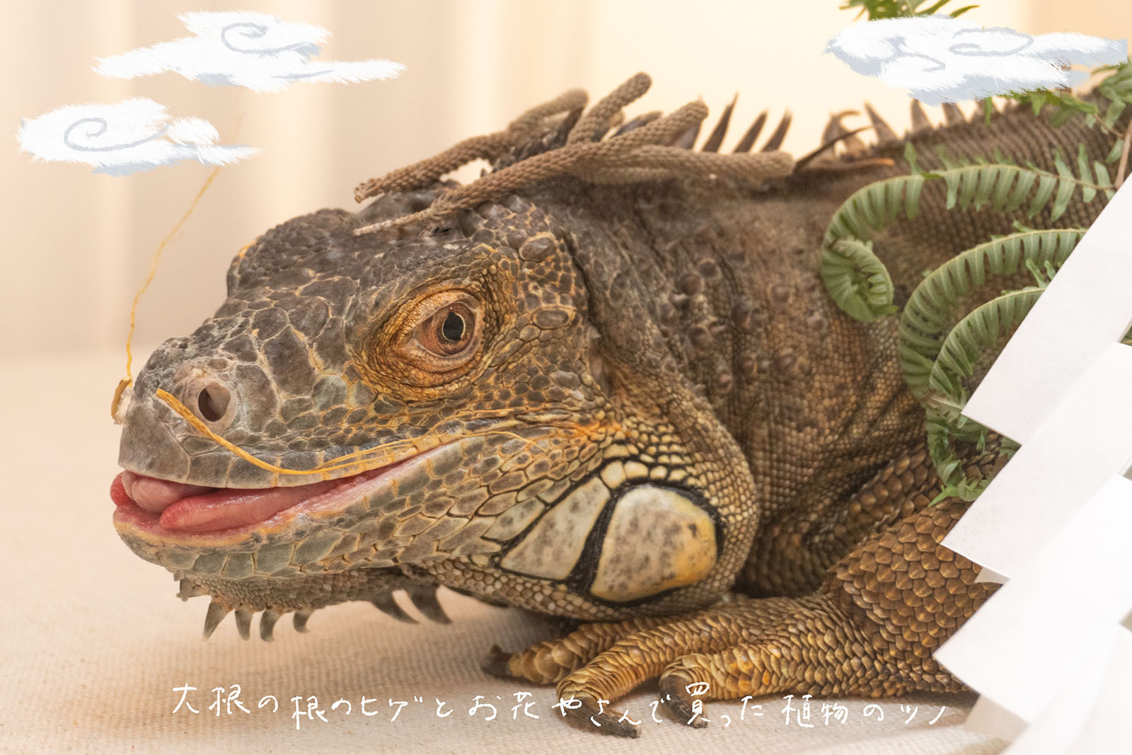 大根の根のヒゲとお花やさんで買った植物のツノをつけたイグアナ